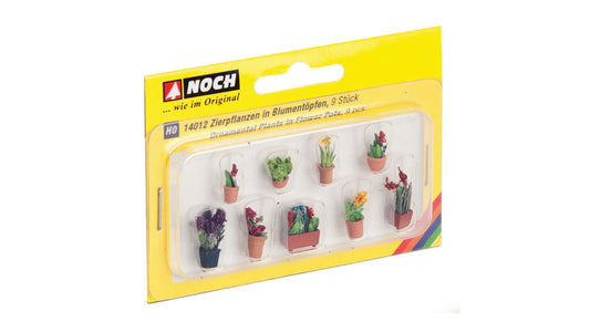 Ornamental Plants in Pots