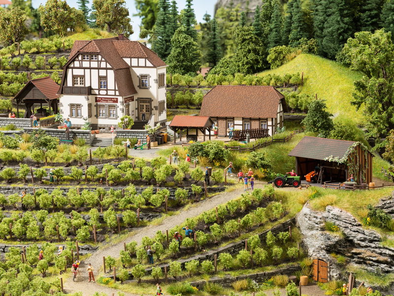 Winery "Hauser-Bühler"