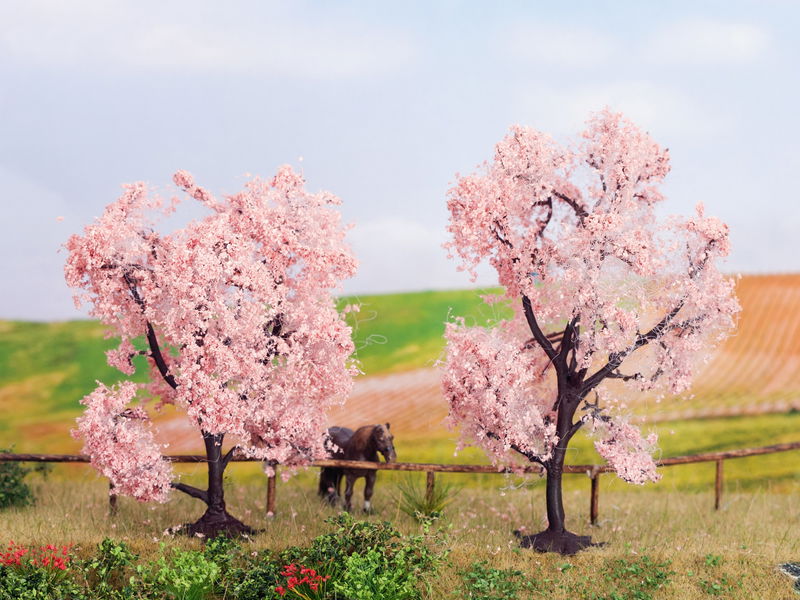 Almond Trees