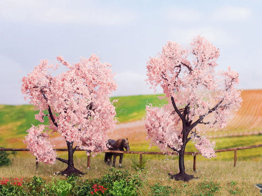 Almond Trees