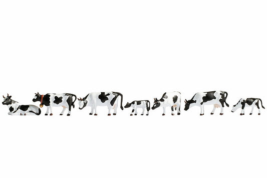 Cows, Black & White