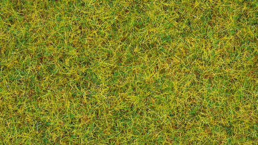 Scatter Grass Summer Meadow 120 g