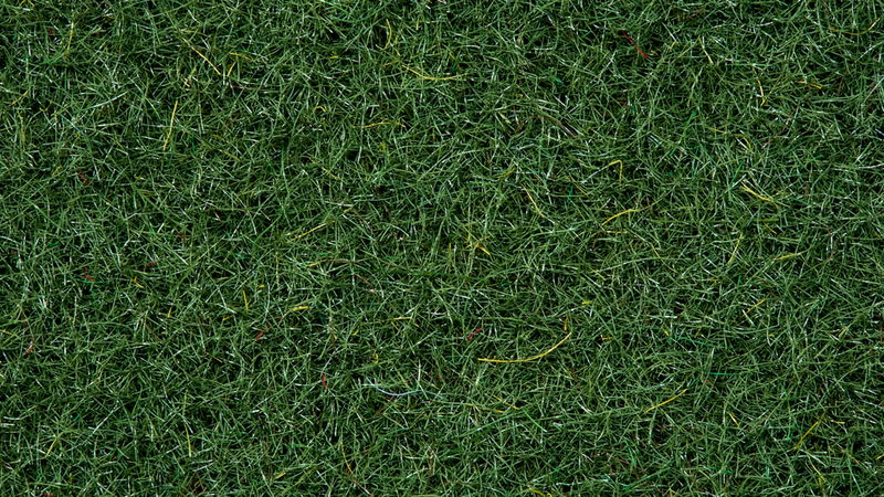 Scatter Grass Marshland