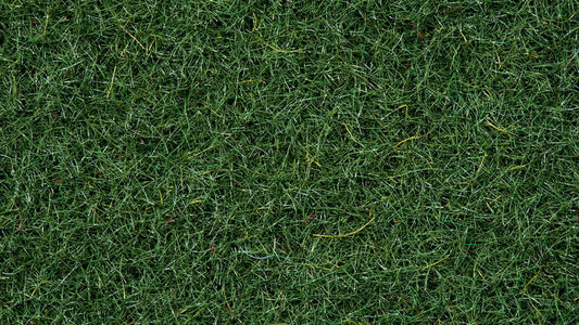 Scatter Grass "Marshland", 2.5 mm, 100 g