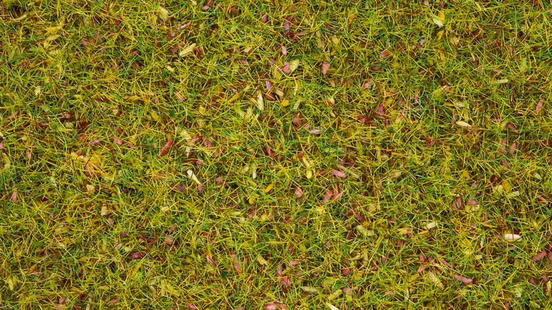 Scatter Grass Flower Meadow 20 g