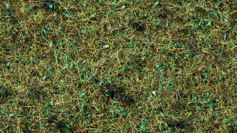 Scatter Grass Forest Floor 20 g