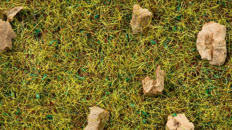 Scatter Grass, Alpine Meadow 20 g