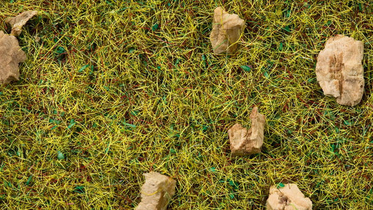 Scatter Grass, Alpine Meadow 20 g