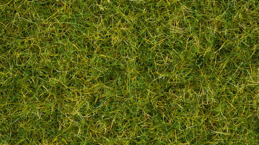 Summer Meadow Master Grass Blend