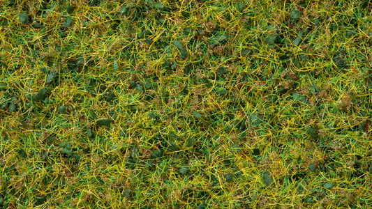 Cow Pasture Master Grass Blend