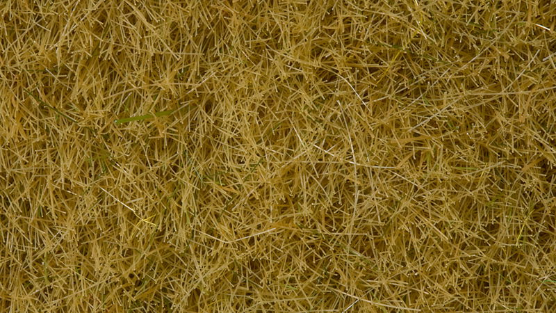 Wild Grass Beige