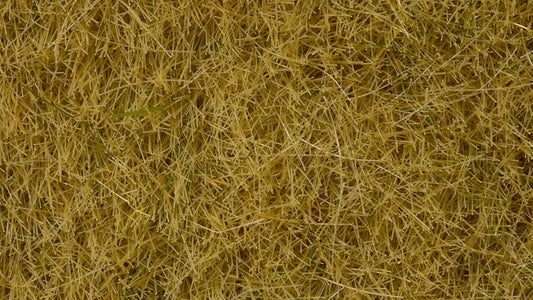 Wild Grass Beige