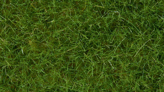 Wild Grass, Light Green