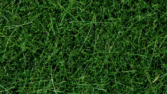 Wild Grass Dark Green (6mm, 100g)
