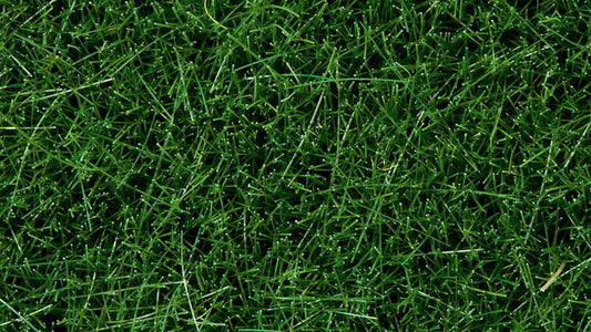 Wild Grass, Dark Green (6mm, 50g)