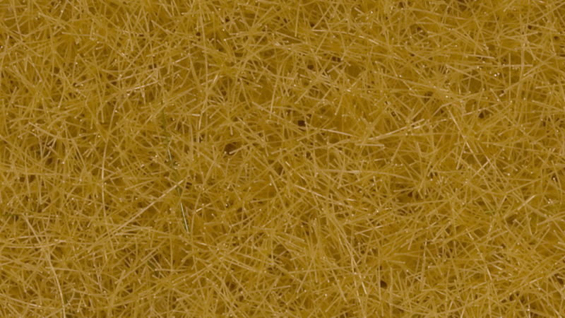 Wild Grass XL, Beige