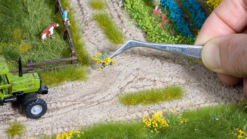Water and Riverside Plants