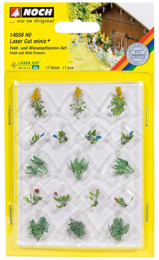 Field and Wild Flowers